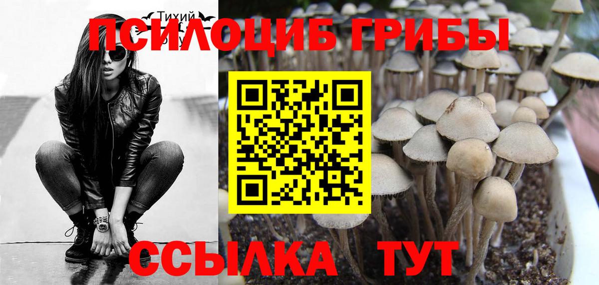 Галлюциногенные грибы Magic Shrooms  Вход с VPN  Корсаков  Псилоцибиновые грибы Magic Shrooms 