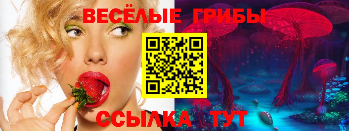 Псилоцибиновые грибы Magic Shrooms Корсаков